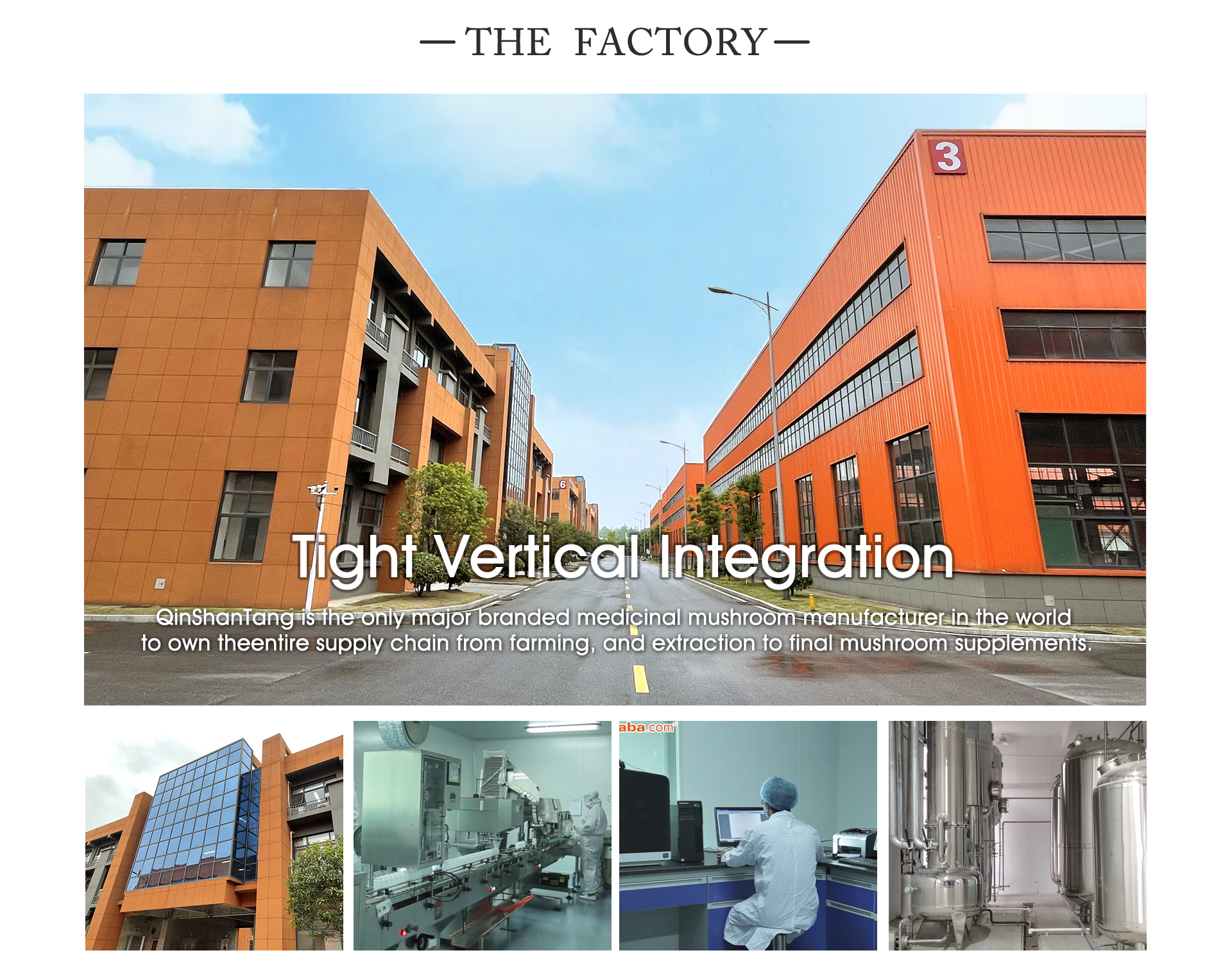 Company Image 2