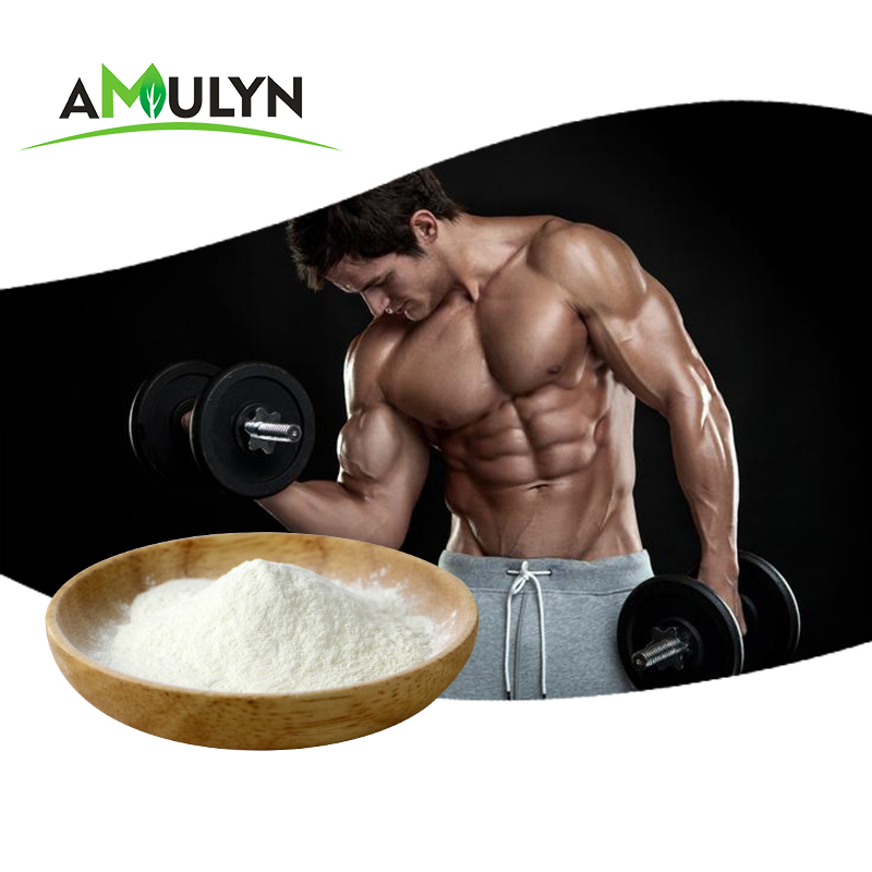 Amulyn Factory Supplement Weight Loss Soy Protein Peptide Powder