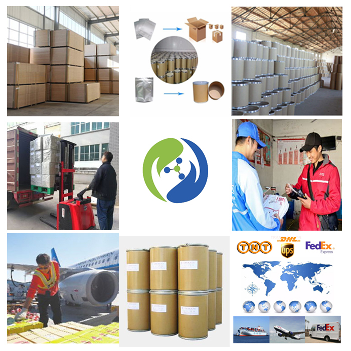 Pure Food Supplements Bulk Pea Protein Extract Natural Pea Protein Peptide Powder