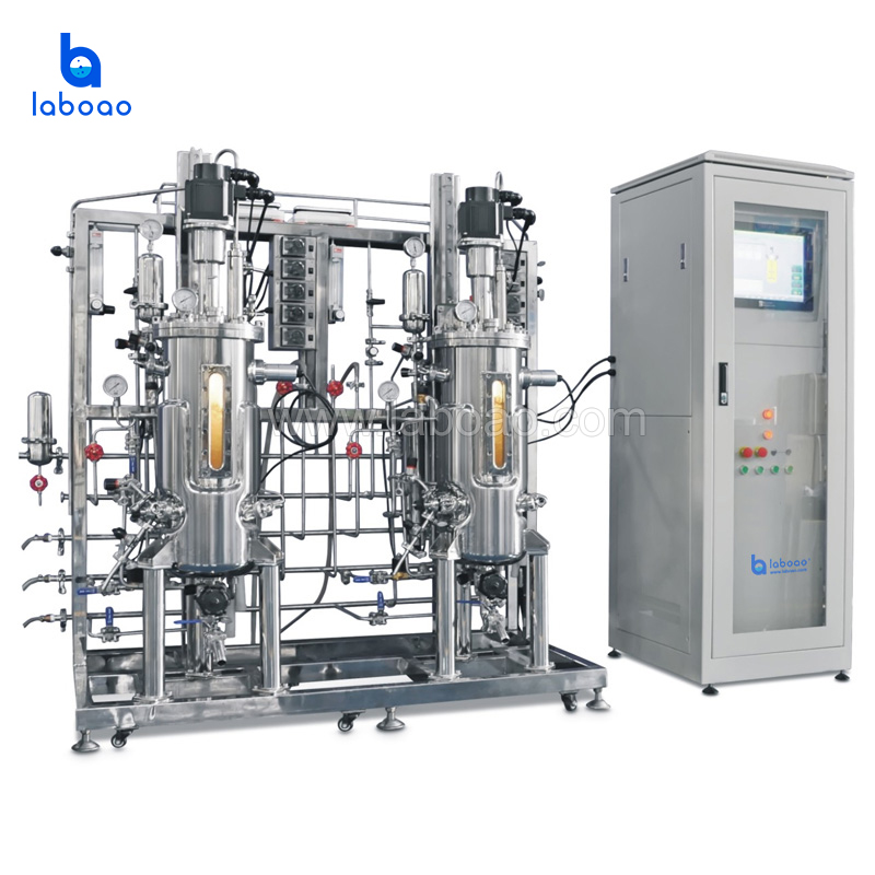 Industrial Photobioreactors Algae Production Fermentor Bioreactor For Algae Photobioreactor Plant Photo Fermenter
