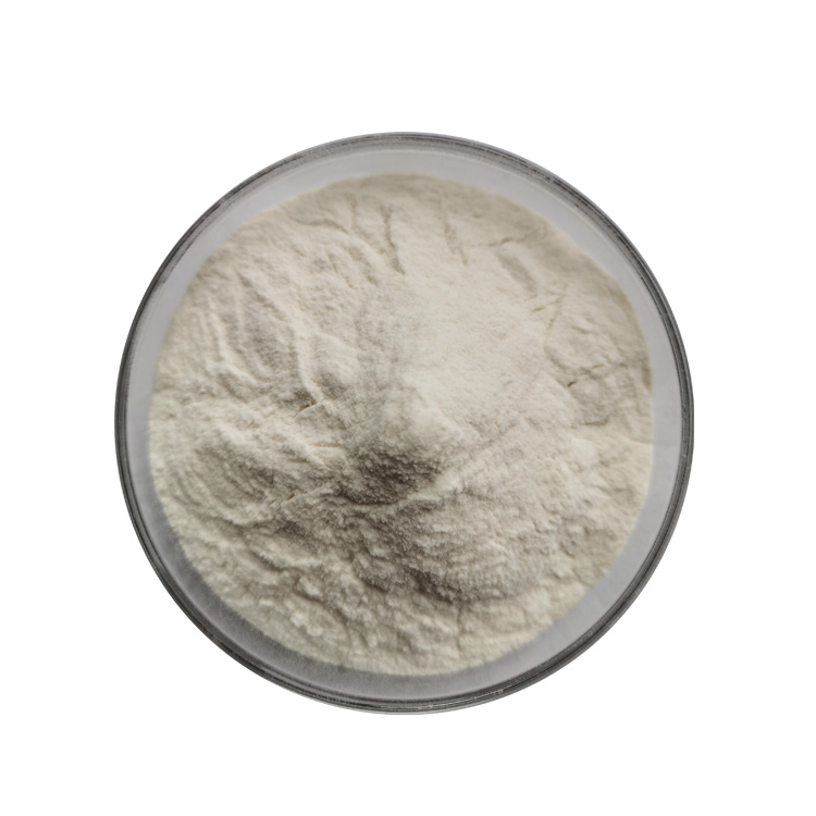 High Quality Food Grade Potato Protein and Starch Powder in Bottles and Drums Supply Included