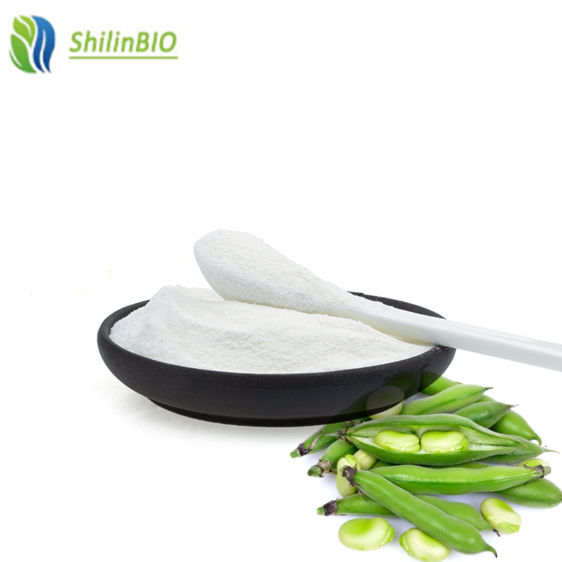 Fava Bean Protein Quality