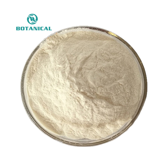 B.C.I.SUPPLY Factory Supply Chickpea Protein Isolate 80% Chickpea Protein Powder