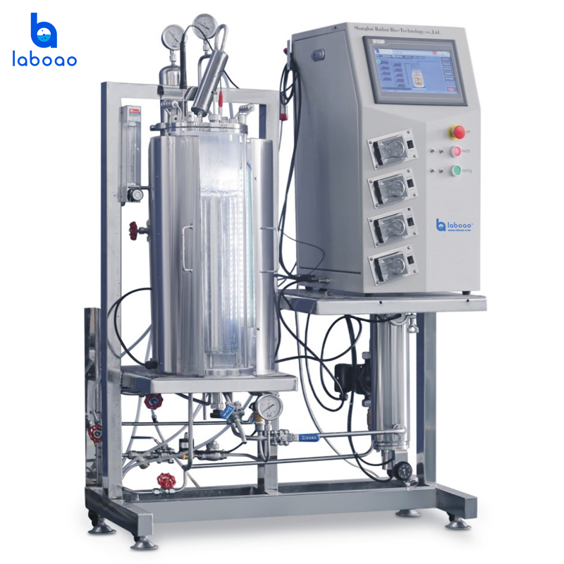 Bioreactor Vessel Chamber