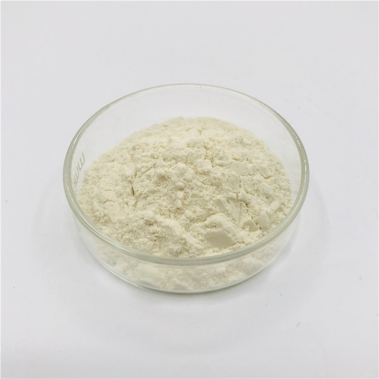 Potato Protein Powder Detail 2