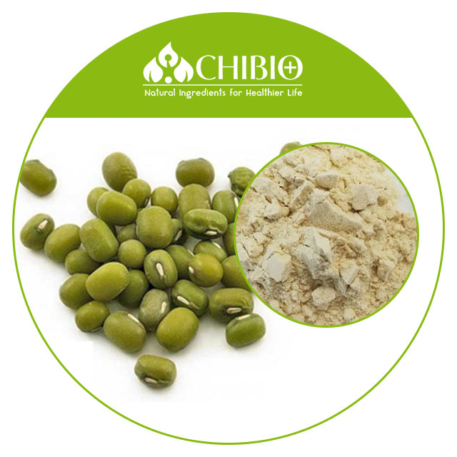 Mung Bean Protein Powder Vegan Protein Supplier's Organic Mung Bean Protein High Nutritional Value Bulk Powder Nutrition