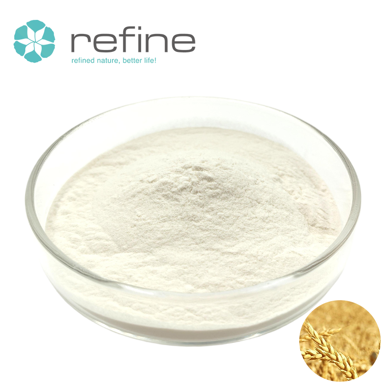 Hydrolyzed Wheat Protein Powder Close-up