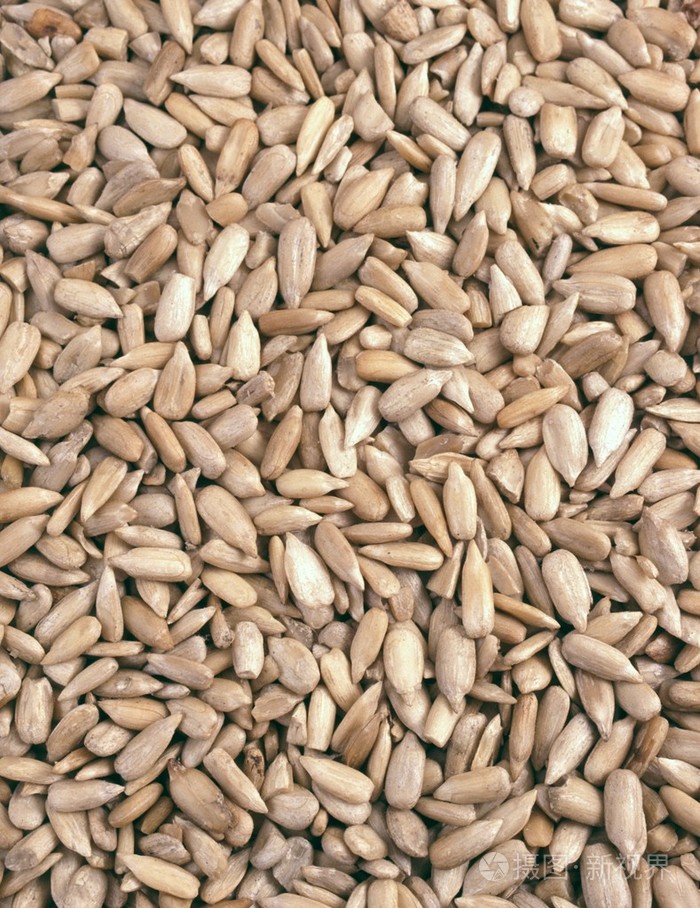 Sunflower Seed Protein Powder for Nutrition Enhancing
