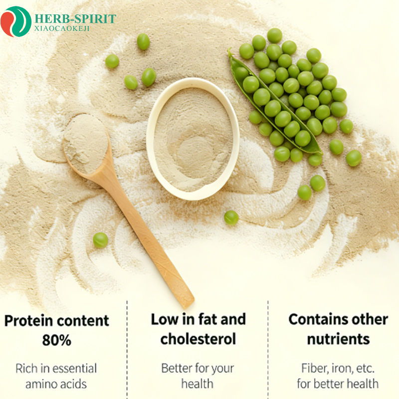 100% Organic Hydrolyzed Pea Protein Isolate Powder Non-GMO Pea Protein Isolate 80% Powder | Plant-Based Vegan Protein