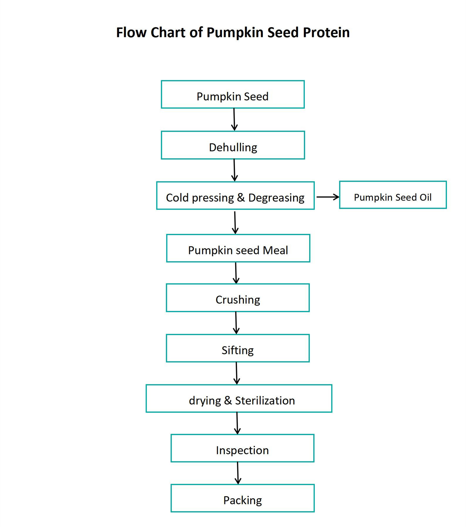 Flow Chart of Pumpkin Seed Protein Powder