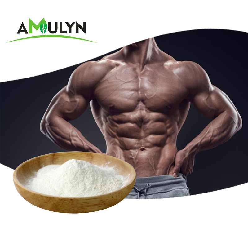 Amulyn Factory Supplement Weight Loss Soy Protein Peptide Powder