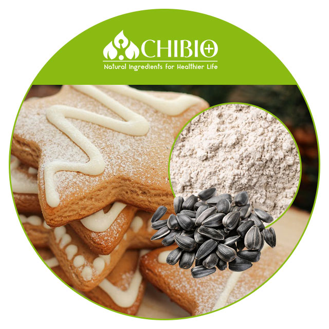 Sunflower Seed Detail