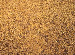Canola Meal Image 3