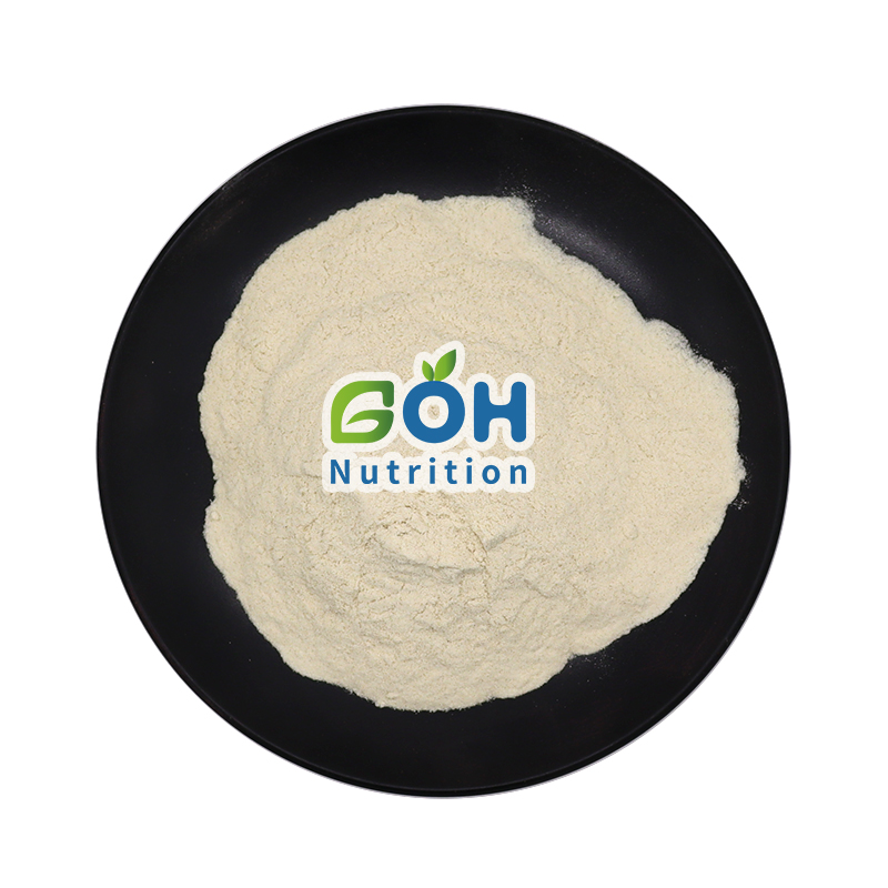 GOH Supply Top Quality Organic Sunflower Seed Extract Protein Powder 60% Sunflower Seed Protein