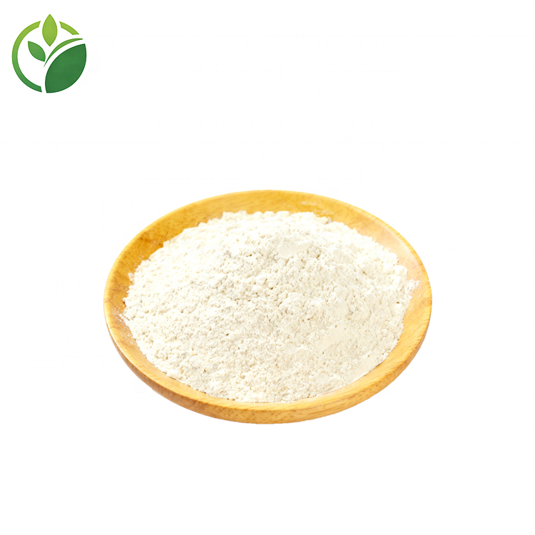 Wholesale Bulk Zein Powder Zein Protein Powder Corn Extract Corn Peptide Powder Corn Protein Peptide