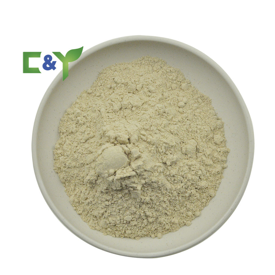 Factory Direct Supply Natural Food Grade Sunflower Protein 90% Protein Sunflower Seed Protein Powder