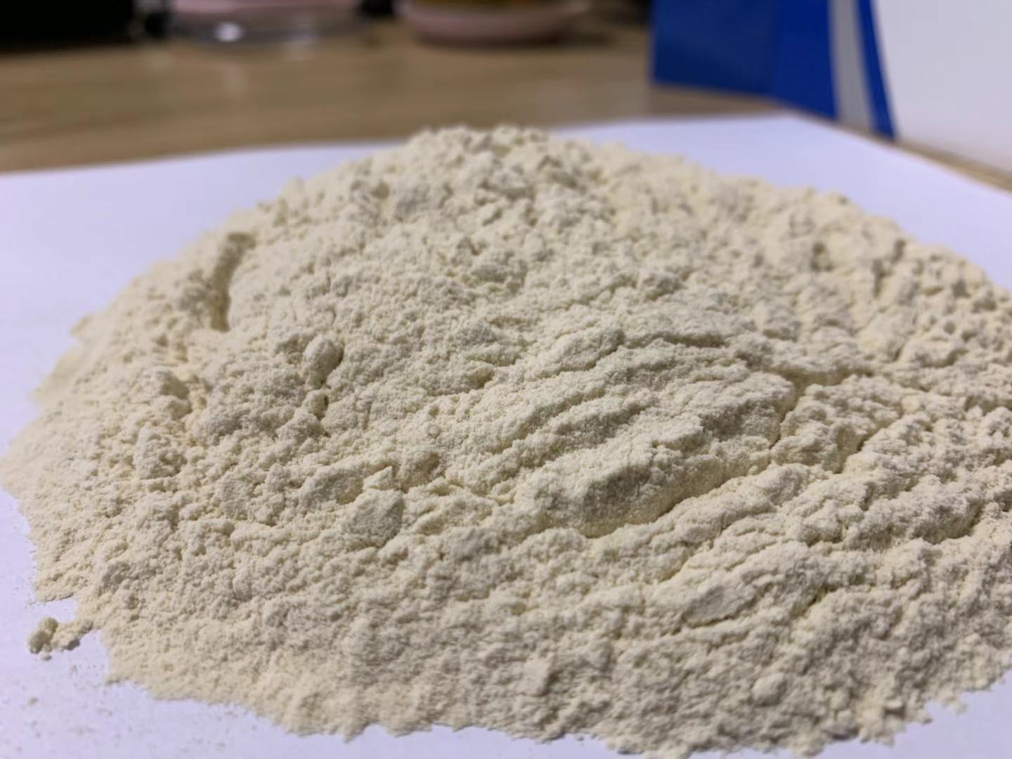 Vital Wheat Gluten Powder