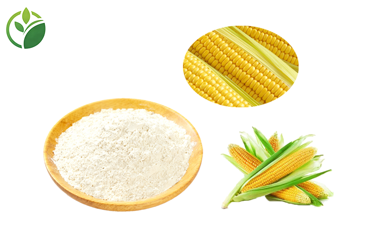 Corn Protein Zein Powder Detail 2