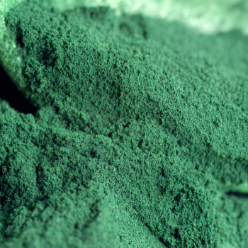 Bulk Export Spirulina Powder 1kg Packs Premium Grade High Protein 60% Superfood Blue Green Algae Keto Friendly