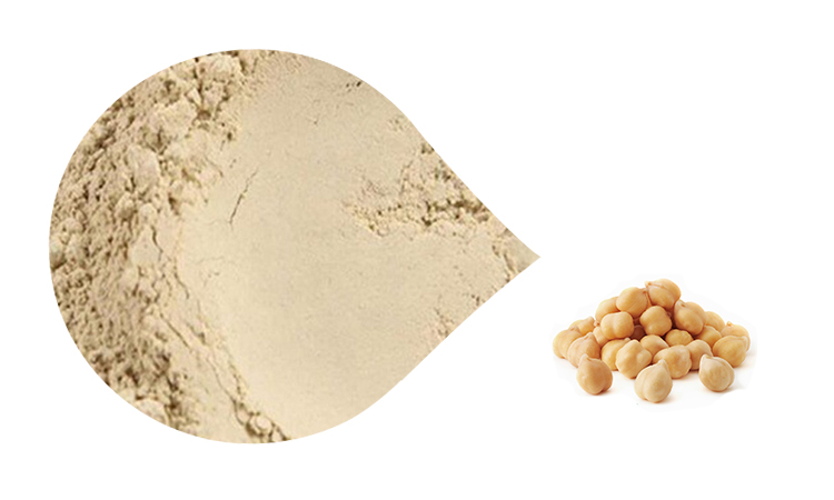 Chickpea Protein Banner 2