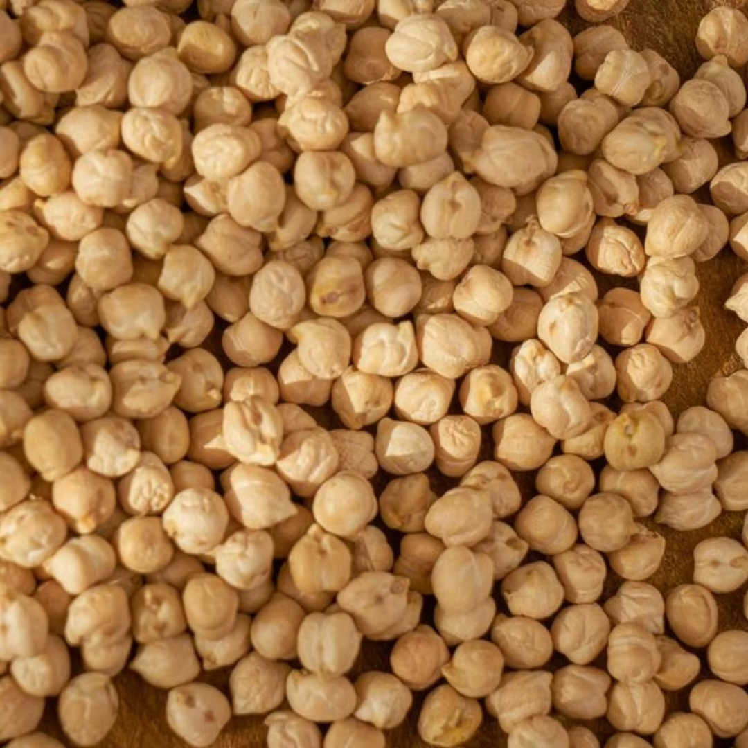 Best Export Quality Premium High Grade Organic Kabuli Chickpeas 25kg Bulk Wholesale Natural Dried Protein Fiber Vacuum Pack Food