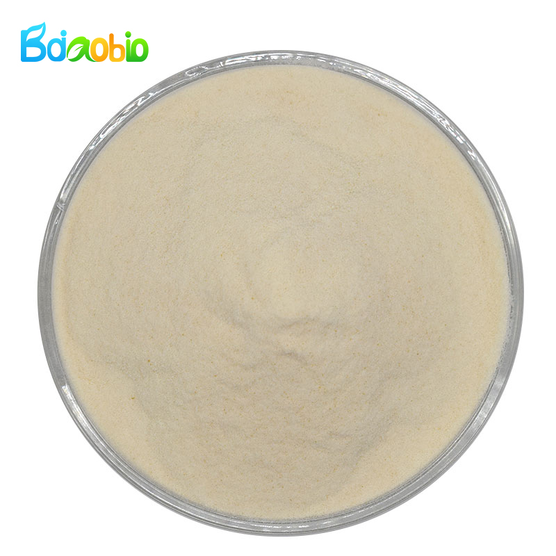 Wholesale Price High Quality Natural Food Grade Chickpea Protein Isolate Powder