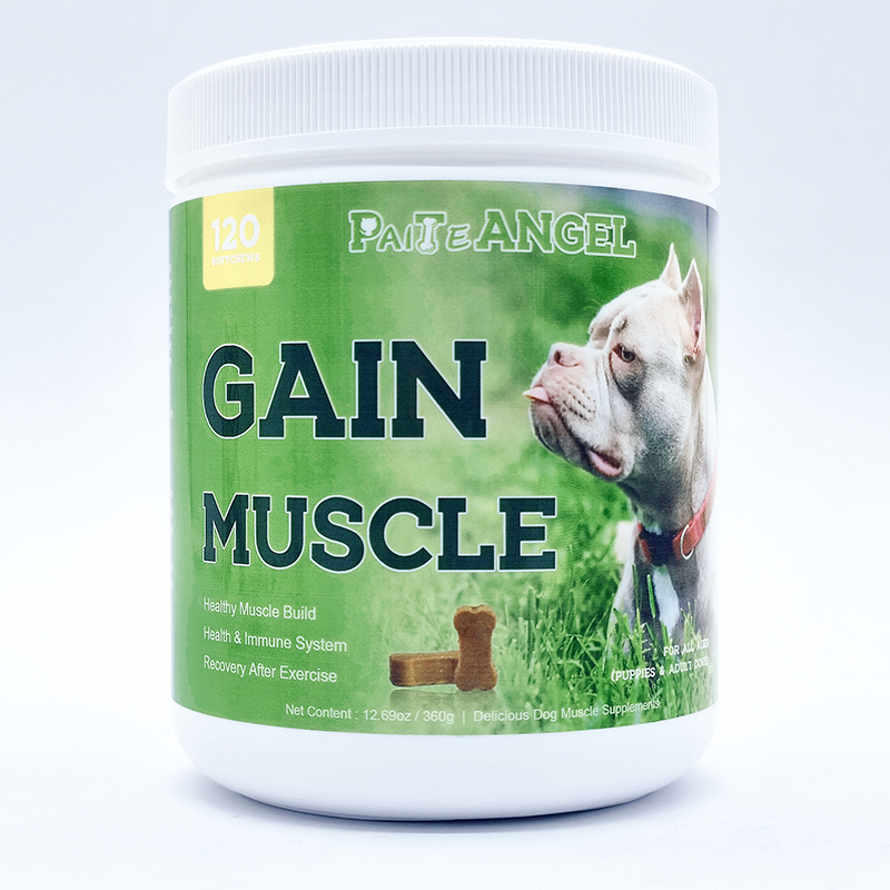 Muscle Gain 1