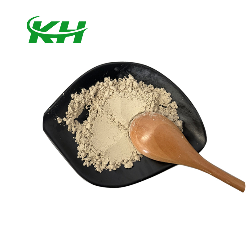 Wholesale High Quality Sunflower Seed Extract Nutrition Enhancing 60% Sunflower Protein Powder