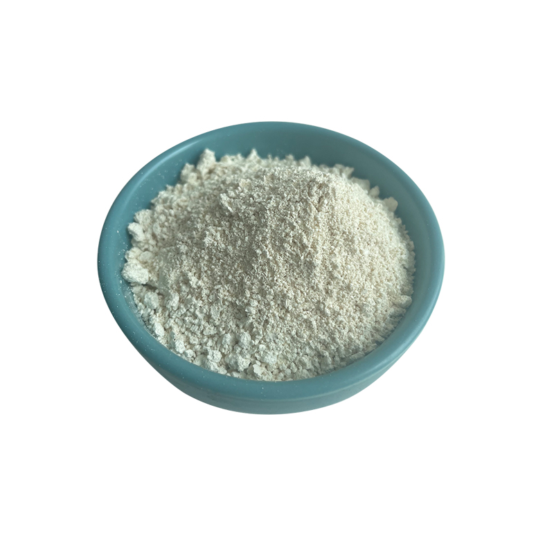 Factory Supplier Pumpkin Seed Protein Powder Pumpkin Seed Protein 10% 60% 70%
