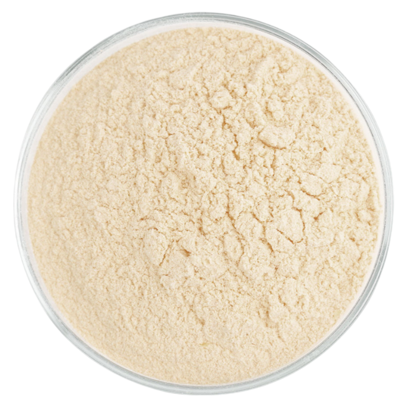 Wholesale Price High Quality Sunflower Seed Protein Powder Sunflower Seed Protein 50%