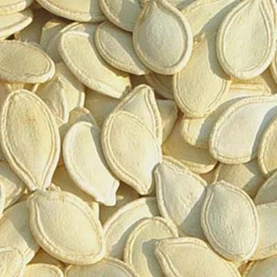 Product Showcase 3