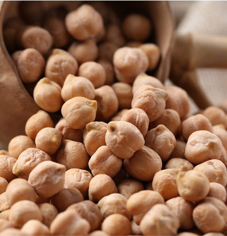 Bulk Tinned White Chickpeas Organic Certified Gluten Free Plant Based Protein Source for Vegan Food Industry Export