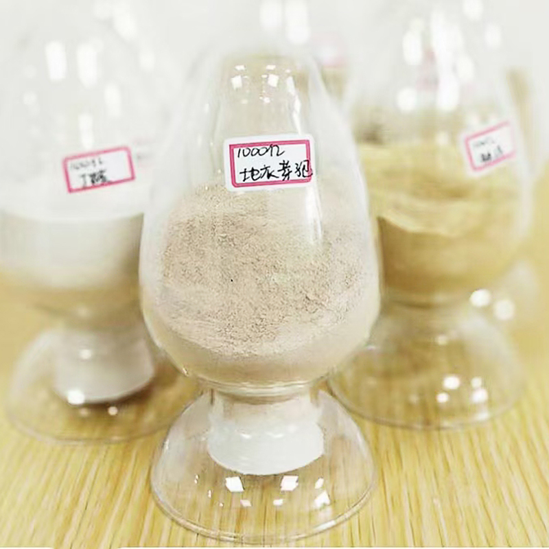 High Quality 10 Billion Bacillus Licheniformis Shrimp Feed Supplement Degrade Organic Substance Probiotics