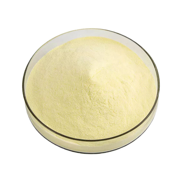 Wholesale 99% Protein Zein Corn Protein Powder Food Grade