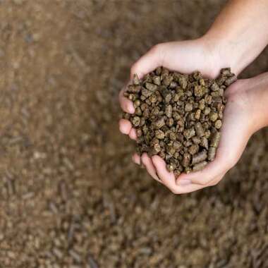 Organic Rapeseed Meal Meat and Bone Meal Canola Meal-US Origin 10kg High Protein For Sale