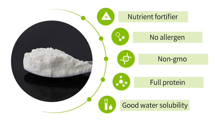 Water Solubility Test