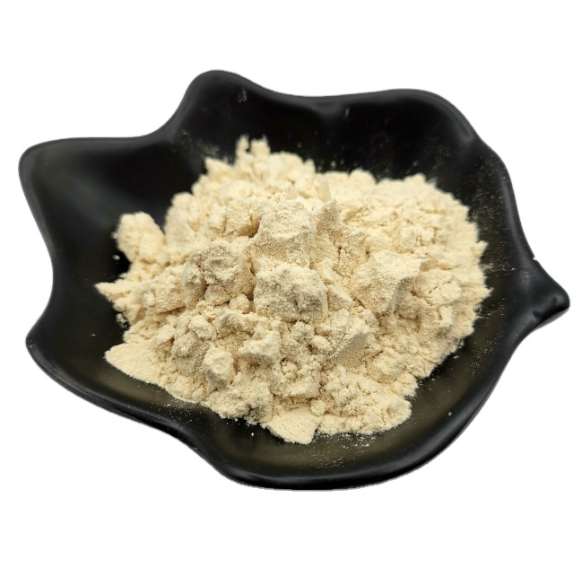 Manufacture Direct Sale Pure Brown Rice Protein Powder for Export