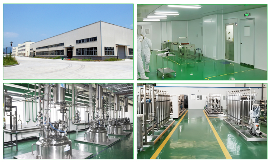 High-quality Food-grade Health Supplement, Natural Plant Extract, Organic Sunflower Protein Powder
