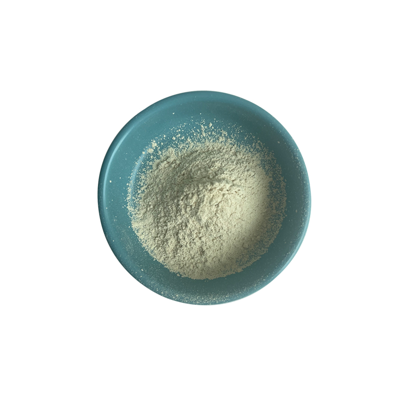 Chickpea Protein Powder Close-up