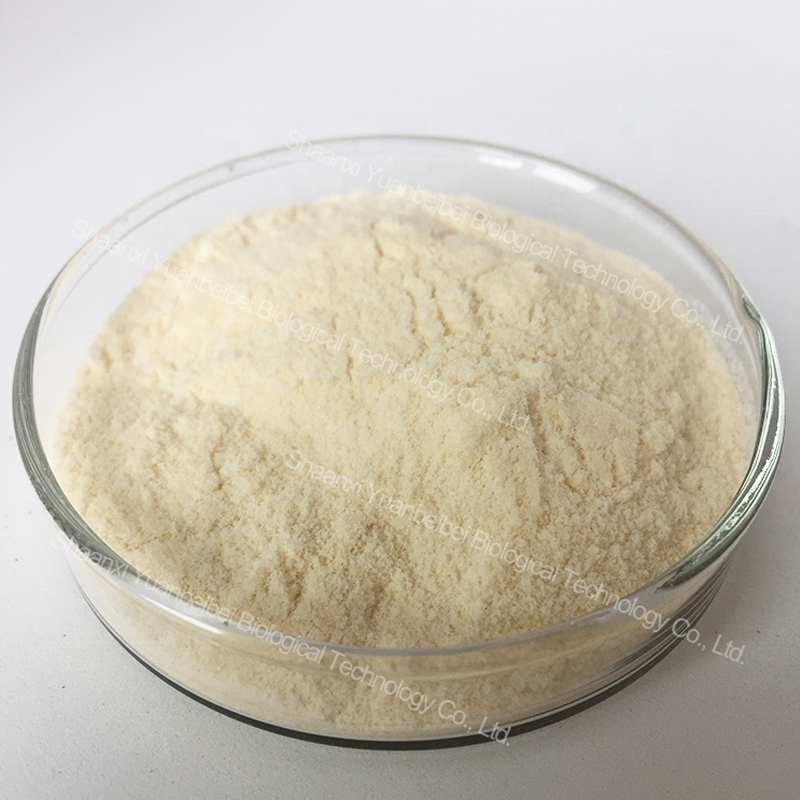 Rice Protein Powder Feature 1