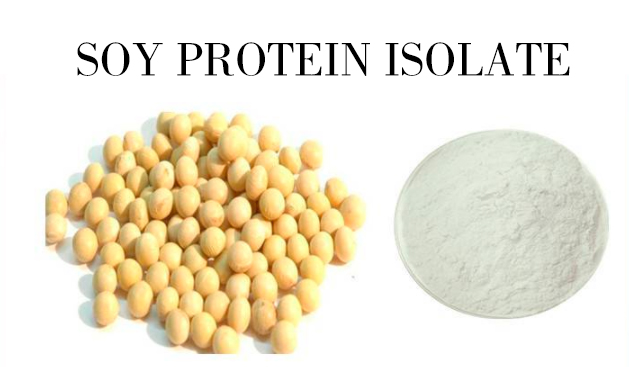HONGDA Supply High Quality Soy Protein Isolate