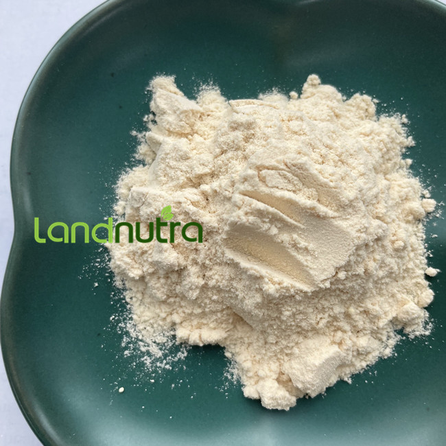Organic Mung Bean Protein Isolate Detail 3