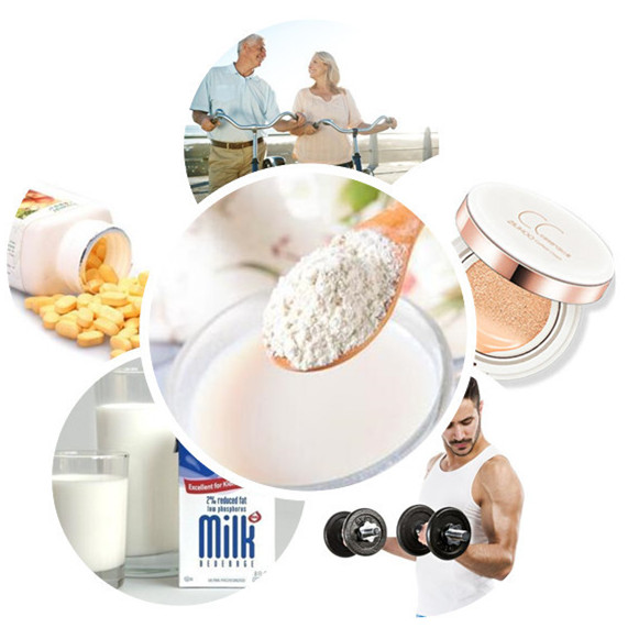 600 Mesh Isolated Rice Protein Powder