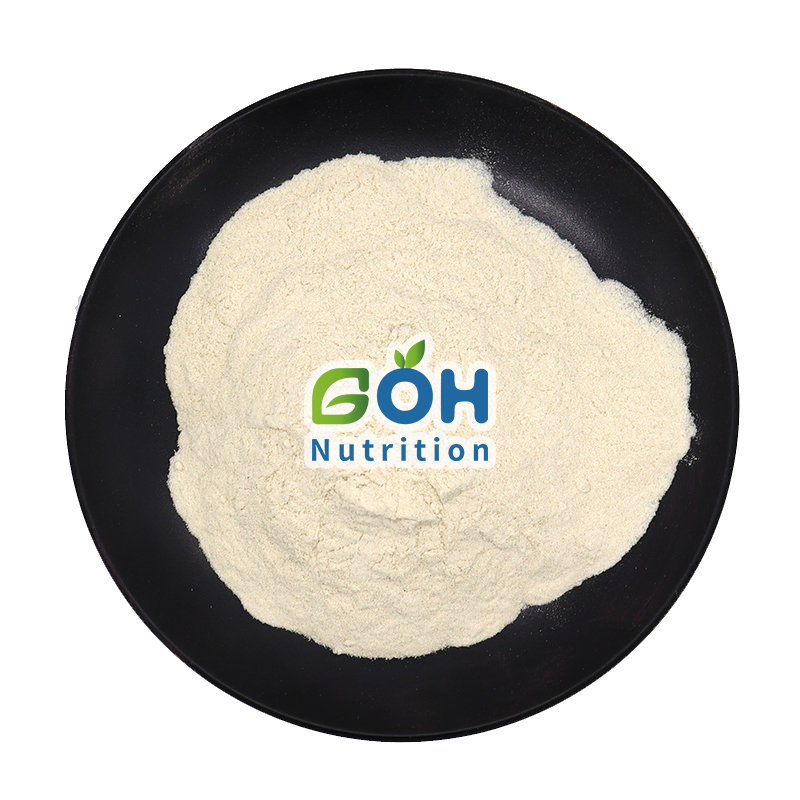 Brown Rice Protein Powder Detail 2