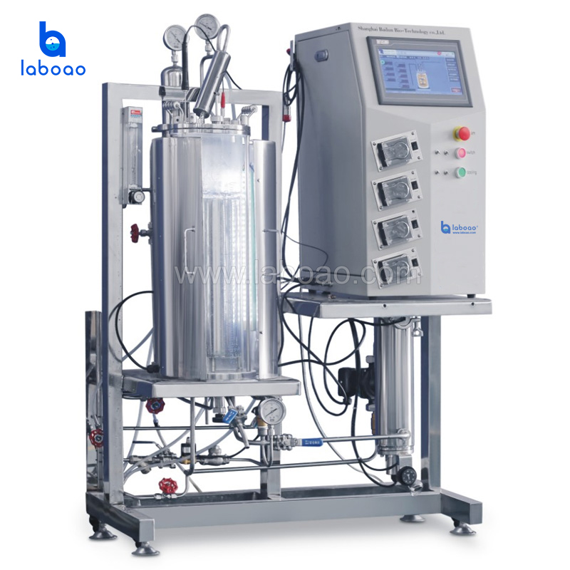 Industrial Photobioreactors Algae Production Fermentor Bioreactor For Algae Photobioreactor Plant Photo Fermenter