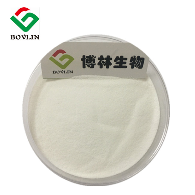 Soybean Peptide Powder Specimen