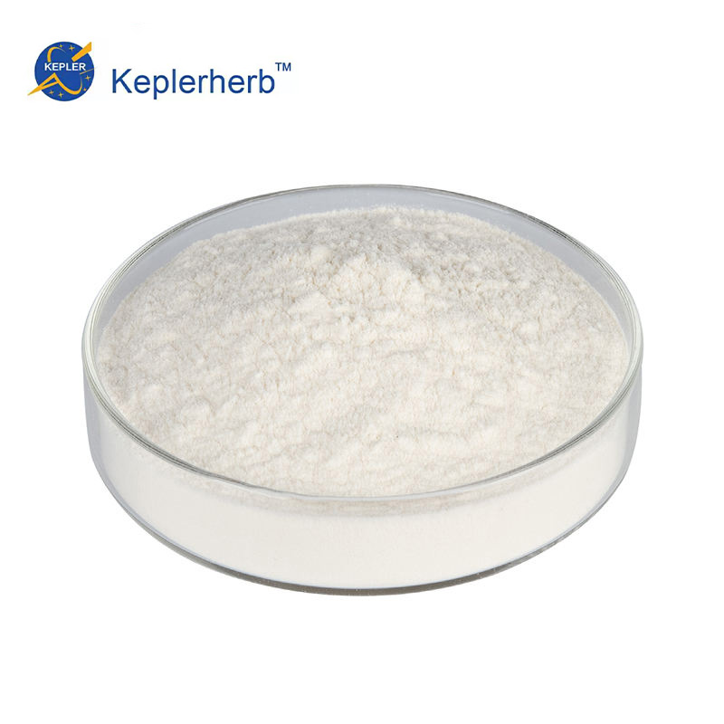 Free Sample OEM 100% Natural Oat Extract Protein Peptide Oligopeptide Powder Healthcare Grade Drum Packaging Bulk Export Markets