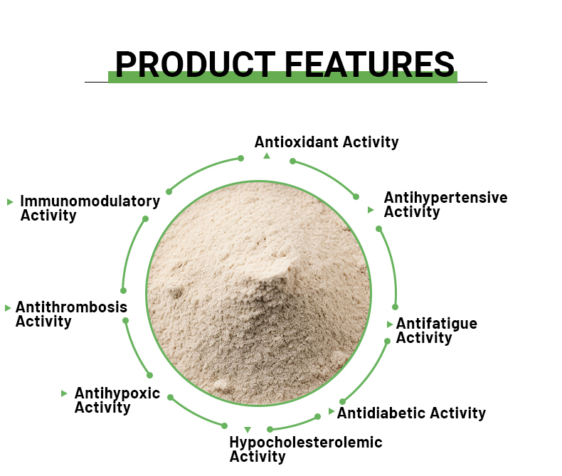 Oat Protein Product Image 2