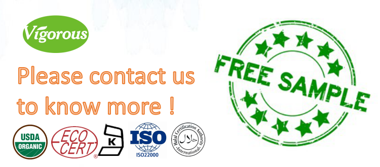 20+ years ISO 22000 Helianthus annuus Sunflower protein powder