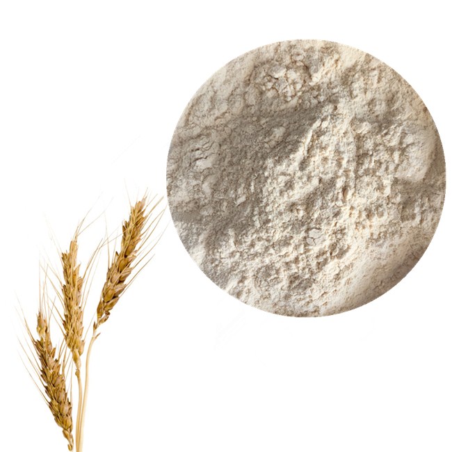 Oat Beta Glucan Applications 4